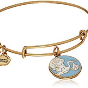 Alex and Ani Special Delivery Boy Bangle